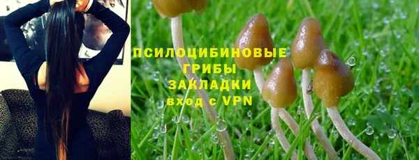 соль ск Волоколамск