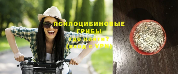 mdpv Володарск