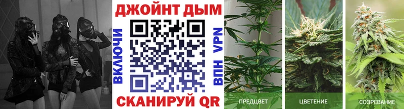 Купить  Северо-Курильск  Канабис VHQ 